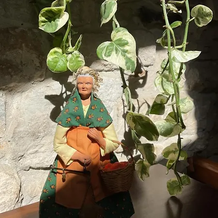 Place Aux Herbes *